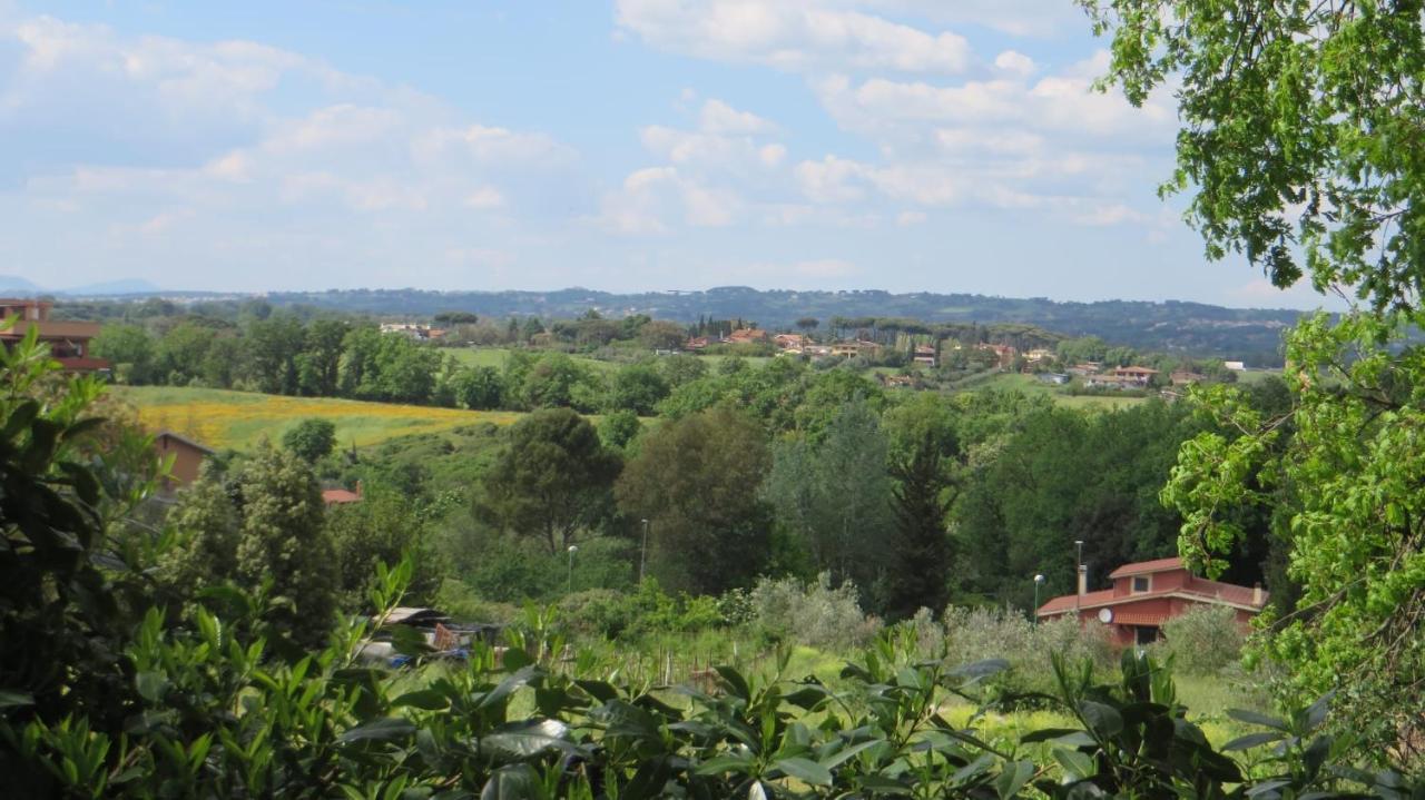 Del Rubbio Roma